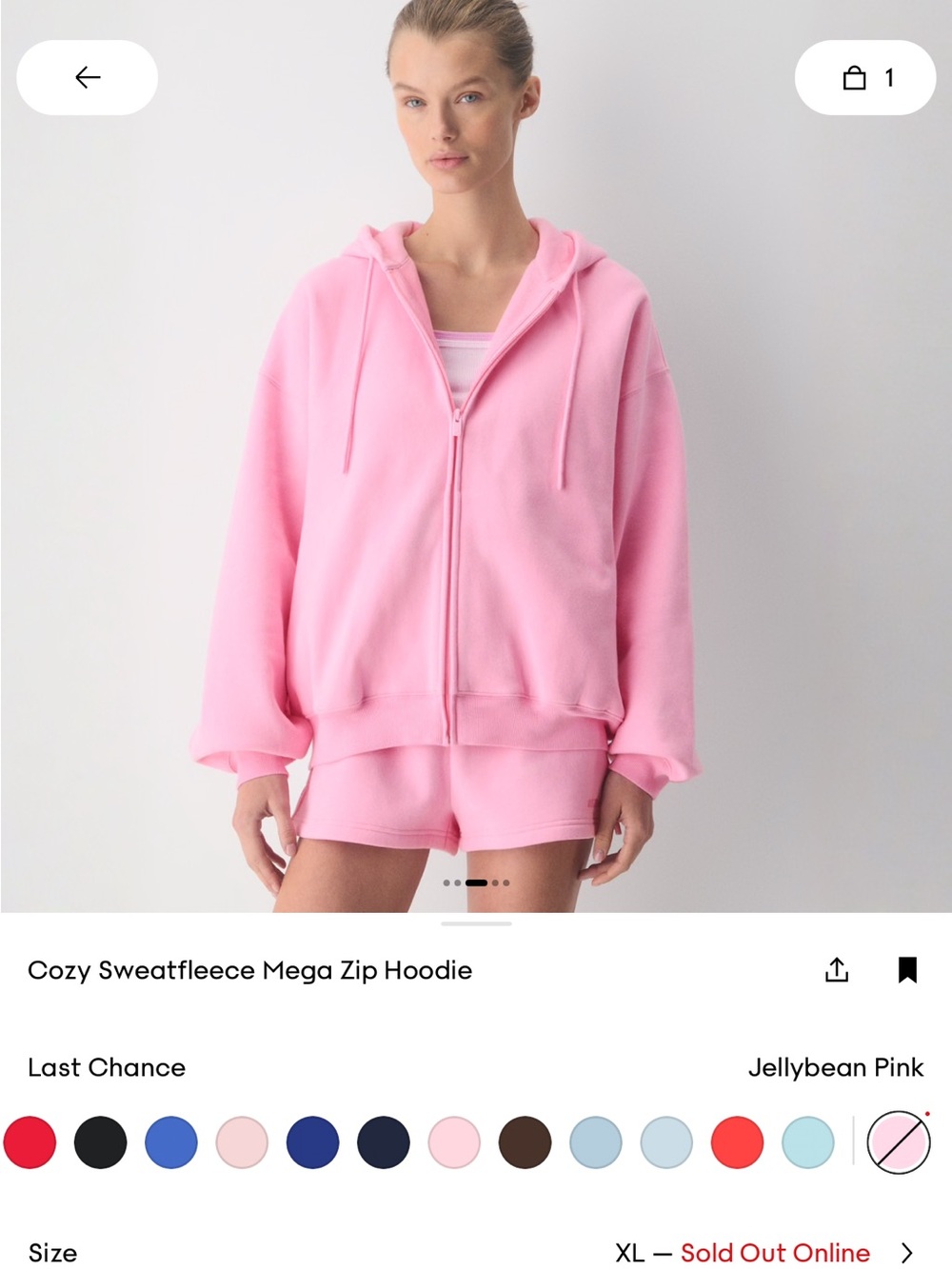 Aritzia Hoodie - Mega Fit